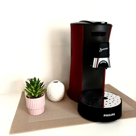 L'escapade Des Domes - Proche De La Gare - Garage - Jaccuzi