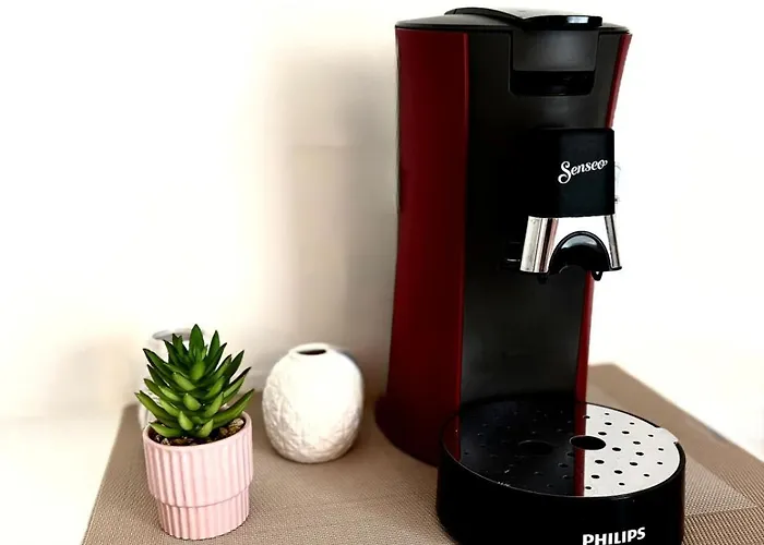 L'escapade Des Domes - Proche De La Gare - Garage - Billard